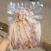 Sundried squid with high quality