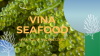 COME GET HIGH QUALITY SEA GRAPES WITH BEST PRICE FROM VIET NAM