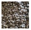 Black Sunflower Seed Kernels Supplier Long Shape 99.9% Min 10% Max Premium Grade from ZA Dried Raw COMMON Cultivation
