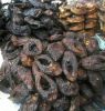 Dried sea food 