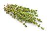 ROSEMARY, THYME