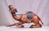 Leather toy of camel, ...