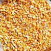 Yellow corn