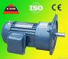 G3 In-Line Helical Gear Full Close Reducer Motor