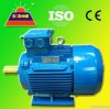 Y AC IEC Induction Electrical Motor