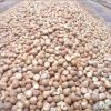 BETEL NUTS ( Cuts , Un...