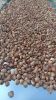 BETEL NUTS ( Cuts , Un...