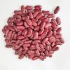 Red Kidney Beans