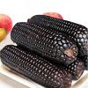 Natural Black Corn