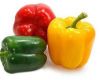 Bell Pepper/Sweet Pepp...