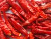 Chilli / dried chilli / red chilli powder