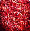 Chilli / dried chilli / red chilli powder