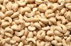 Cashew nut,