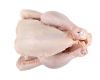 grade AA FROZEN WHOLE CHICKEN AND CHICKEN FEET/PAWS/WINGS