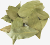 Bay Leaf