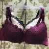 Full Coverage lace padded pushup underwire bra