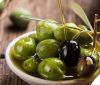 OLIVES and OLIVE OIL