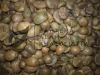 Robusta Green Coffee B...