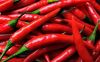 chili pepper (legon 18)