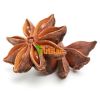 BEST PRICE FROM VIETNAM NATURAL STAR ANISE / STAR ANISEED / STAR ANISE SEED