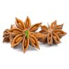 BEST PRICE FROM VIETNAM NATURAL STAR ANISE / STAR ANISEED / STAR ANISE SEED