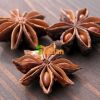 BEST PRICE FROM VIETNAM NATURAL STAR ANISE / STAR ANISEED / STAR ANISE SEED