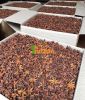 BEST PRICE FROM VIETNAM NATURAL STAR ANISE / STAR ANISEED / STAR ANISE SEED