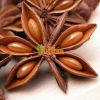 BEST PRICE FROM VIETNAM NATURAL STAR ANISE / STAR ANISEED / STAR ANISE SEED