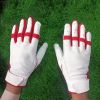 Customized Baseball Batting Gloves Anti-Slip Batting Gloves Adults Professional Men Women Baseball Glove