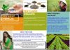 Fertilizer  ( inorgani...
