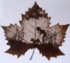 leaf carving painting