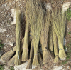 Palm/Nypah Broom Sticks