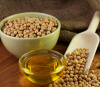 Organic Soyabean, Soyameal and Oil