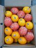 FRESH CITRUS FRUITS |O...