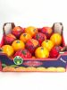 FRESH CITRUS FRUITS |O...