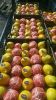 FRESH CITRUS FRUITS |O...