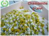 chamomile for import a...