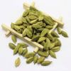 Green Cardamom Natural Best Quality Fresh Elachi Spice bulk green cardamom dry Best cardamom price