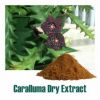 Caralluma Powder