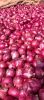 Best Quality Wholesale cheap Price Fresh Red Onion