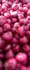 Best Quality Wholesale cheap Price Fresh Red Onion