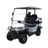 ZYCAR Brand electric golf cart with professional meter