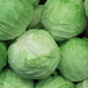 FRESH CABBAGE