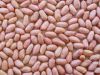 Sell peanut kernels(lo...