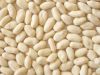 Sell blanched peanut k...