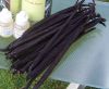 Sell Vanilla Beans