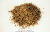 Sell Cumin seeds