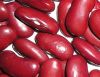 Sell Red kidney beans&...