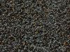 Sell Blue poppy seeds,...