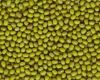 Sell green mung beans